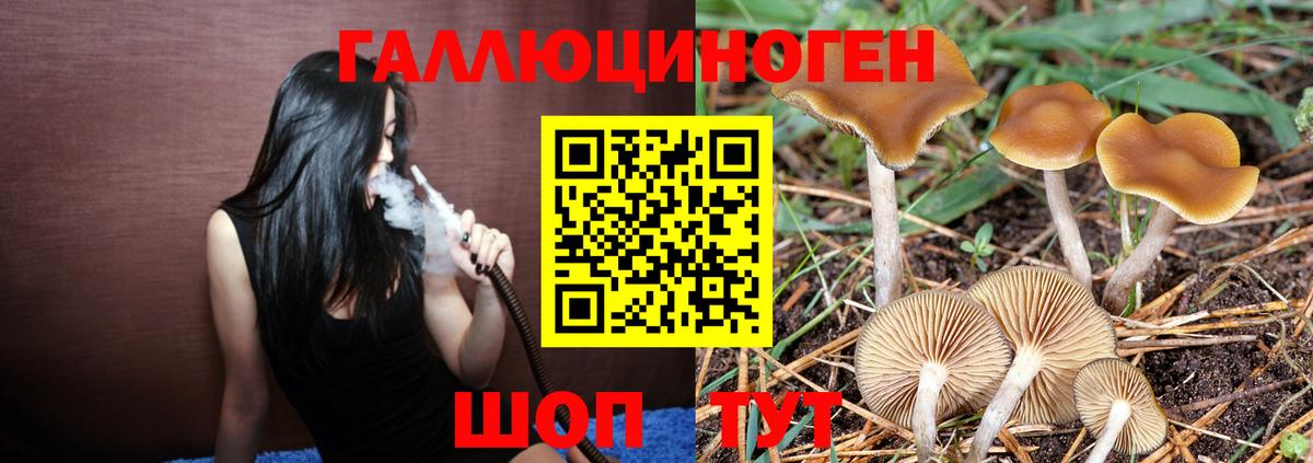 Псилоцибиновые грибы мухоморы  Вход с VPN  Шали  купить  сайты  Галлюциногенные грибы прущие грибы 